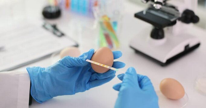 Laboratory technician checks quality of eggs using test strip