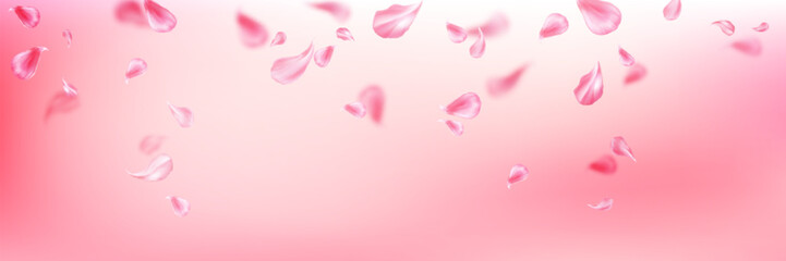 Pastel background with pink flower petal for spring time and spa service design. Realistic 3d vector falling and flying rose or sakura blossom leaves. Floral bloom elements for romantic concept.