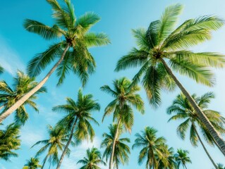 A vibrant view of tall palm trees swaying against a clear blue sky, evoking a tropical and serene atmosphere.