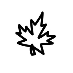 leaf line art icon