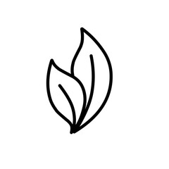 leaf line art icon