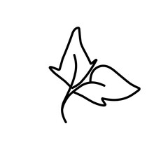 leaf line art icon