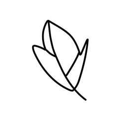 leaf line art icon