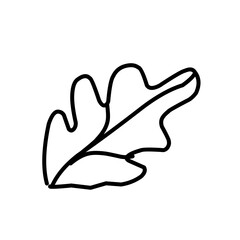 leaf line art icon
