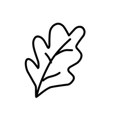leaf line art icon