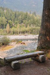 Bench at Chilliwack River during a summer season in Chilliwack, British Columbia, Canada