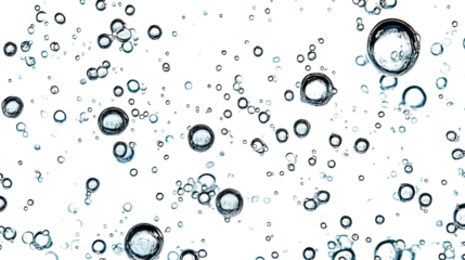 Water bubbles on a white transparent background