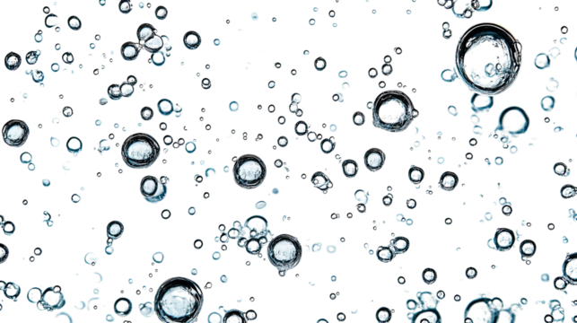 Water bubbles on a white transparent background