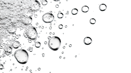Water bubbles on a white transparent background