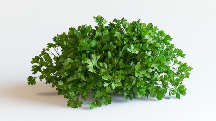 Fototapeta premium Vibrant 3D Render of Fresh Parsley Bunch on White Background at 45-Degree Angle