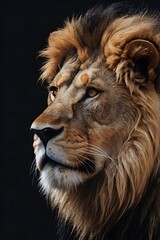 Obraz premium Close up portrait of a lion face isolated in dark backdrop.