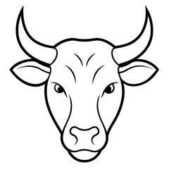 head of bull