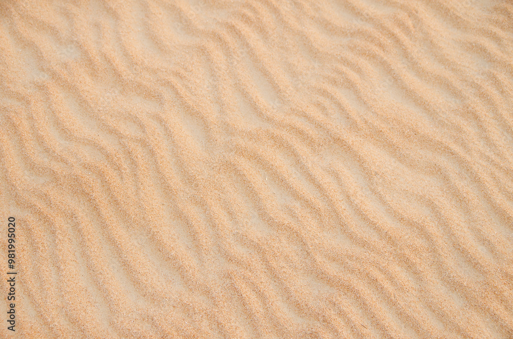 Wall mural Sand with natural pattern. Beach sand background with natural wave pattern