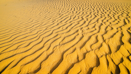 Sand dunes. landscape of golden sand dune with blue sky in desert