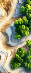 Aerial View of a Sandy Riverbed with Trees.