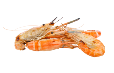grill shrimp on transparent png
