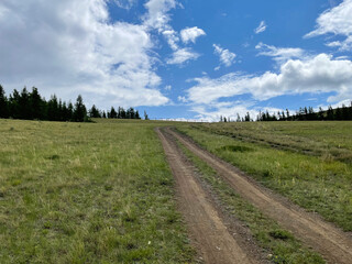 Rural dirt road through the grassland of the Altai Mountains
