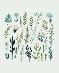 set of delicate field plants, green branches, blue and beige flowers