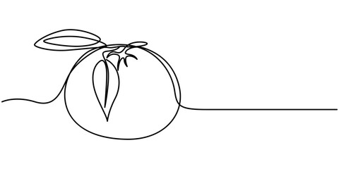 Orange blossom, neroli vector illustration. One continuous line art drawing of citrus flowers with lettering orange blossom, Continuous single one line drawing of orange tangerine summer fresh fruit
