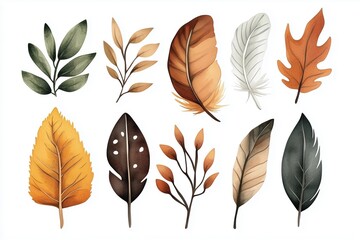 Fototapeta premium Earthy Watercolor Symbols of Leaves, Feathers, and Natural Elements, Isolated on White
