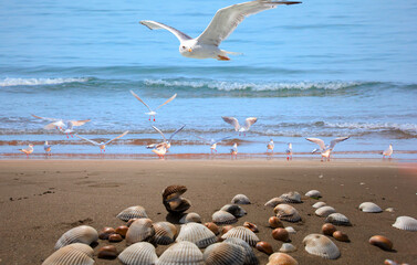 Fototapety na wymiar - Fototapeta24.pl