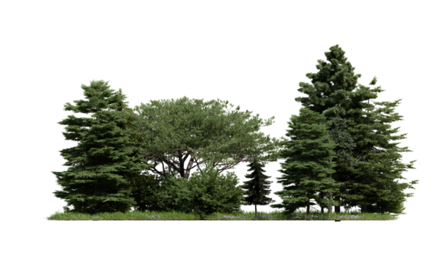 forest various tree, grass and plant, flat ground, isolated transparent background