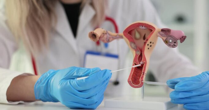 Лесби порно 40 жаста