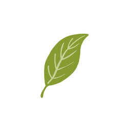 leaf illustration isolated tranparant elements