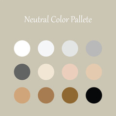 Set of Neutral Color Palette. Color swatch for fashion, home, interiors, design. Colour chart idea.