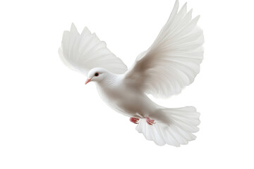 Obraz premium White dove flies with spread wings on transparent background