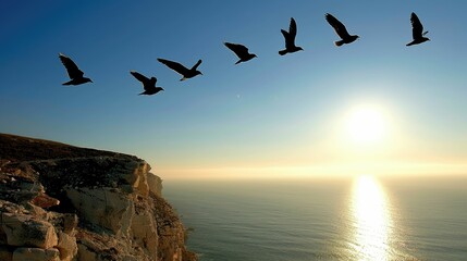 Fototapeta premium Birds flying over a serene ocean sunset.
