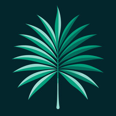 Closeup Nature View Of Palm Leafs With A Dark Background