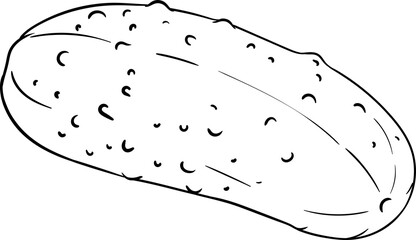 Сucumber Vegetable Outline Illustration