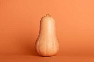 pumpkin isolated on orange fuzz peach background