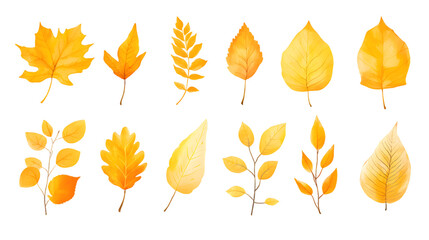 Obraz premium Autumn yellow leaves hand drawn collection isolated on transparent background