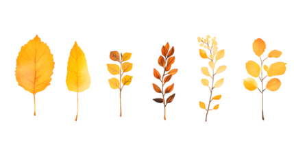 Autumn yellow leaves hand drawn collection isolated on transparent background