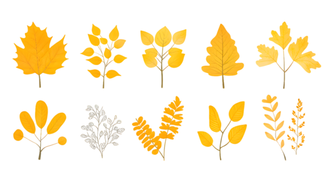 Autumn yellow leaves hand drawn collection isolated on transparent background