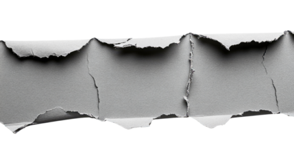 Cardboard Paper Torn on a white transparent background