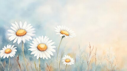 Field of daisies, soft white petals, wild countryside, watercolor style
