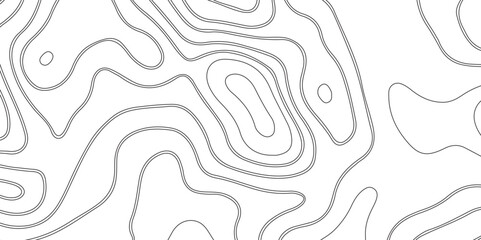 Abstract white topography geographic contour map background .topography white paper and black waves lines backdrop background .modern geographic contour map vector illustration .