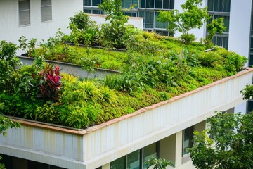 Fototapeta premium A Building’s Green Roof Is Covered With Plants. The Green Roof Helps With Insulation And Rainwater Absorption