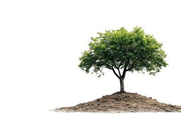 Lush green tree on earthen mound on transparent background