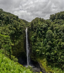 Beautiful Hawaii Big Island nature background. Scenic landscape with waterfall inside rainforest. Akaka Falls State Park, Hawaii Big Island, USA.