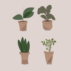 various kinds of leaf plants illustration