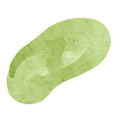 Fototapeta premium Watercolor shape, stain in natural green color. Hand drawn watercolor textured blob
