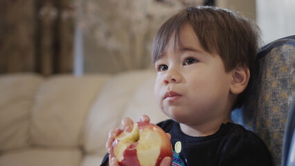 Asian boy eats a big red apple, sits in a feeding chair