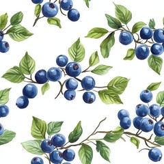 240807 07. blueberry pattern banner wallpaper, simple background