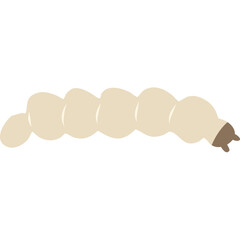 Larva Maggot