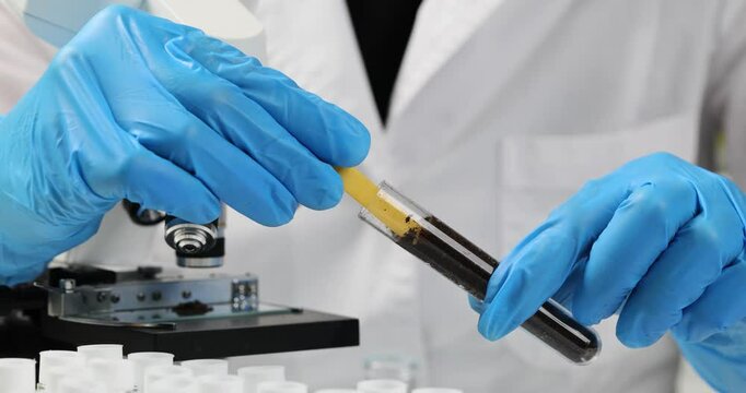Soil laboratory analysis scientist measures pH of soil sample with litmus strips. Agrochemical soil survey