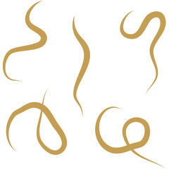 Obraz premium Parasite Worms